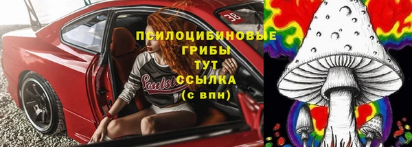 ПСИЛОЦИБИНОВЫЕ ГРИБЫ Абинск