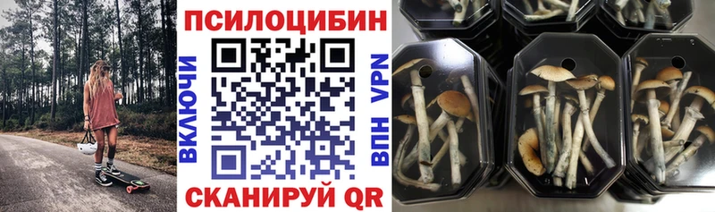 Псилоцибиновые грибы мицелий  Ильский 